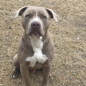 Meet your Posher, Abel